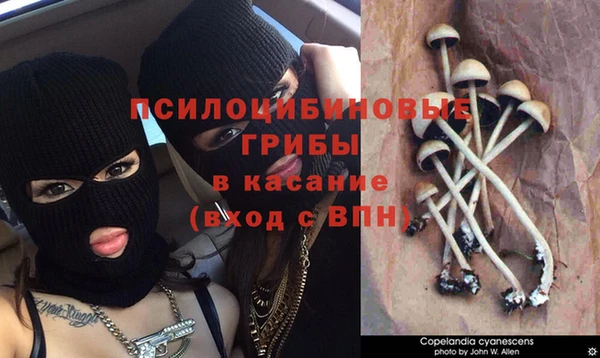 mdpv Алексин