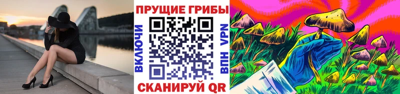 Галлюциногенные грибы MAGIC MUSHROOMS  Амурск 